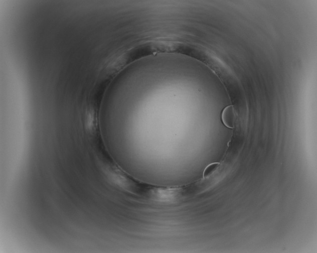 X0000111360134200907101238