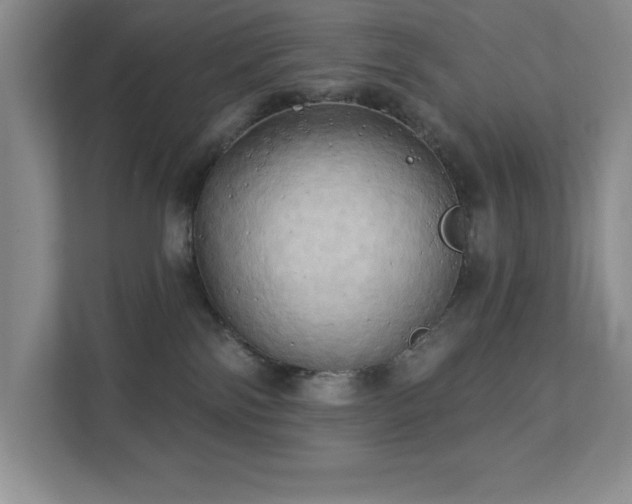 X0000111360138200907101238