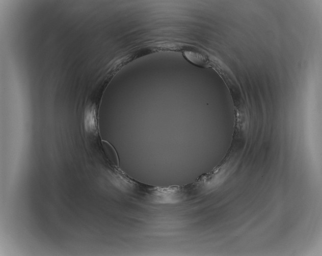 X0000111360143200907101238