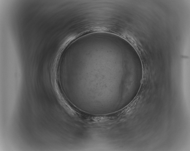 X0000111360145200907101237