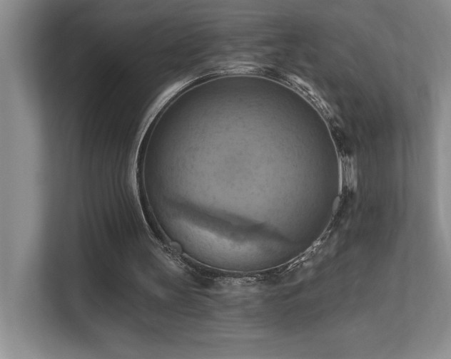X0000111360147200907101237