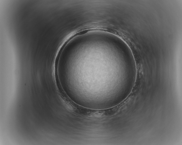 X0000111360148200907101237