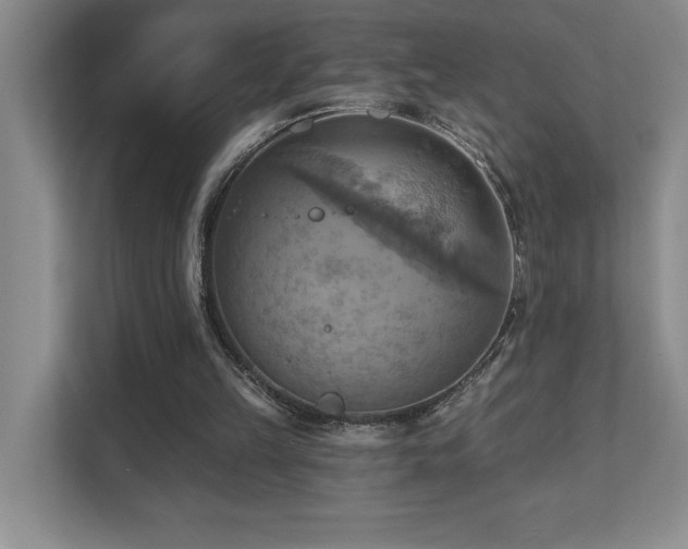 X0000111360149200907101237