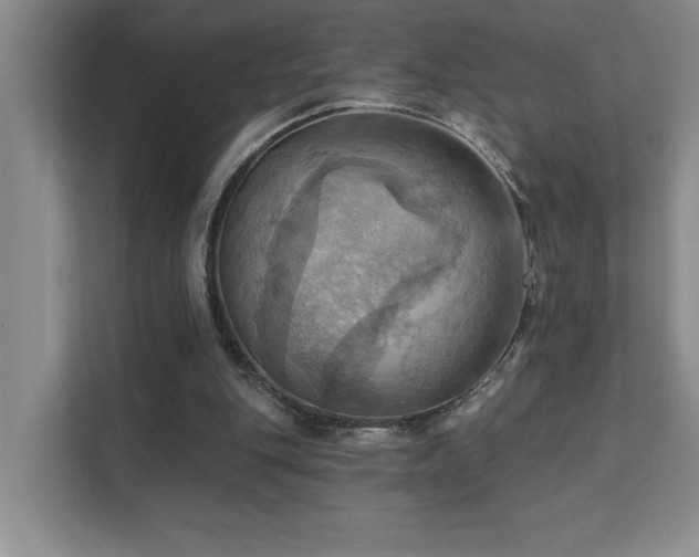 X0000111360151200907101237