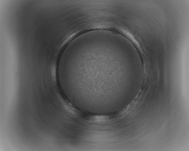 X0000111360154200907101237