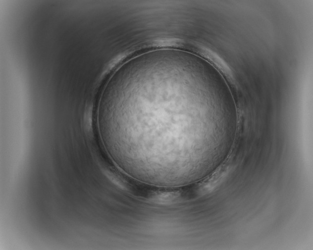 X0000111360155200907101237