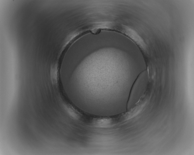 X0000111360156200907101237
