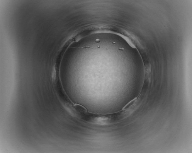 X0000111360158200907101237