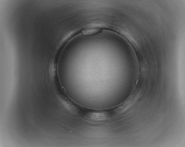 X0000111360160200907101238