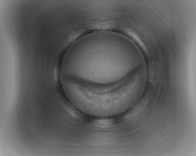X0000111360161200907101238