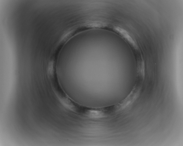 X0000111360167200907101238