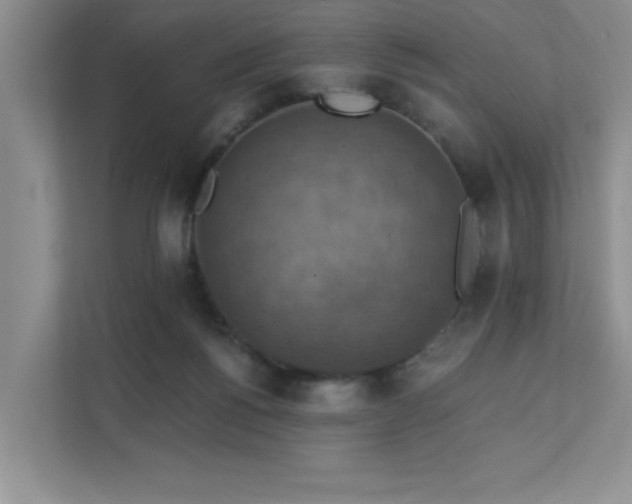 X0000111360168200907101238