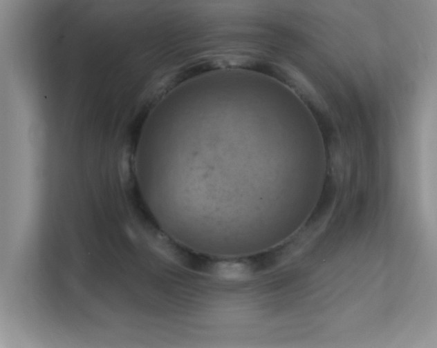 X0000111360169200907101238