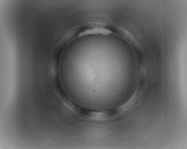 X0000111360170200907101238