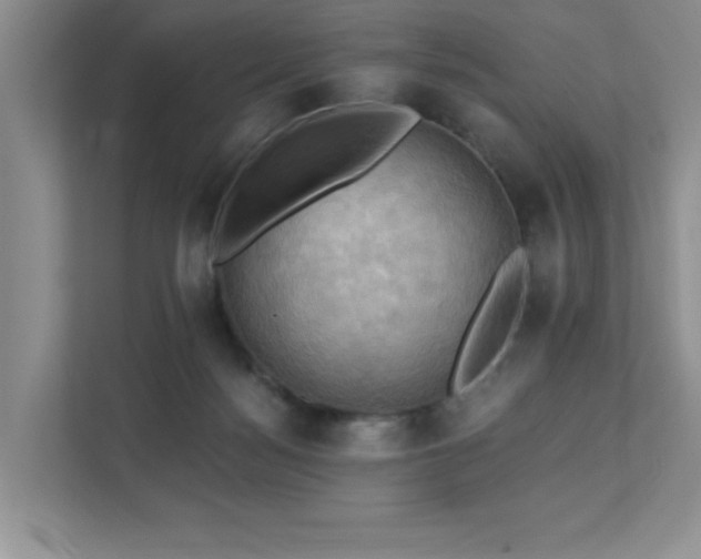 X0000111360172200907101238