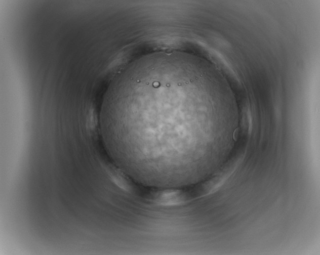 X0000111360173200907101238