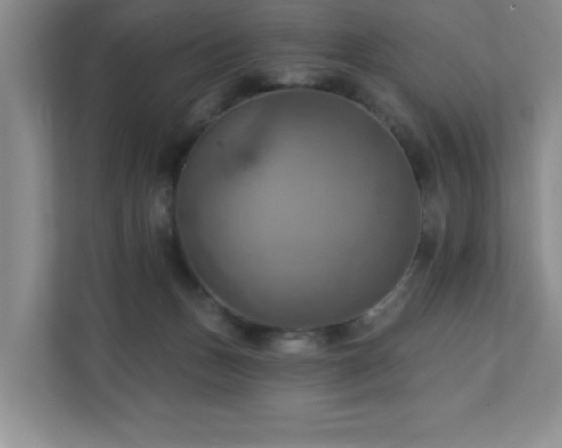 X0000111360175200907101238