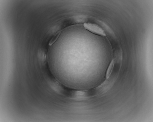 X0000111360176200907101238