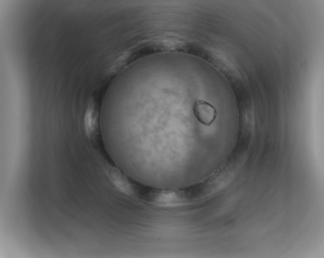X0000111360177200907101238
