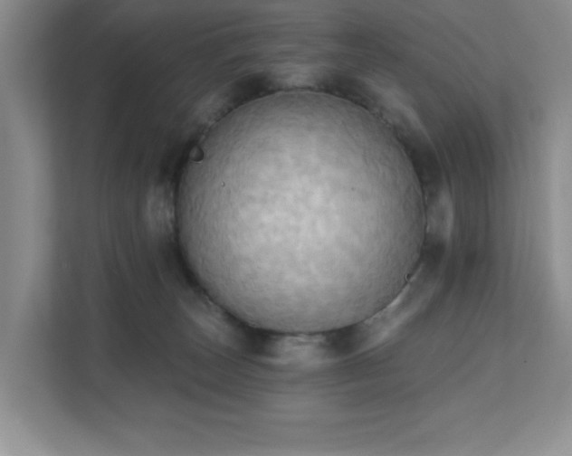 X0000111360179200907101238