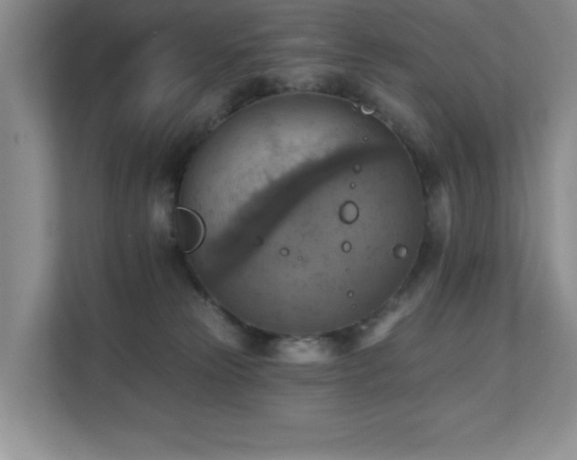 X0000111360181200907101238