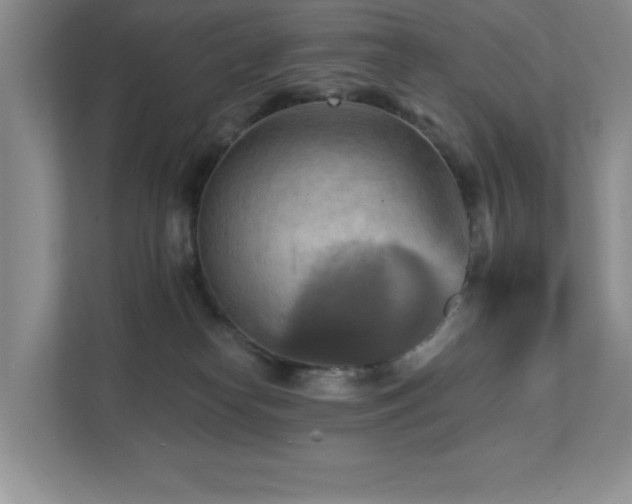 X0000111360182200907101238