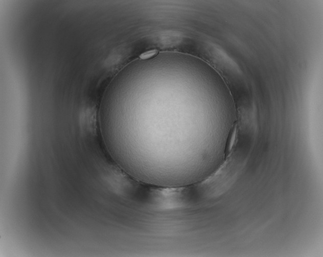X0000111360184200907101238