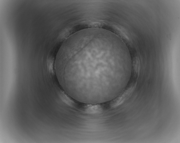 X0000111360185200907101238