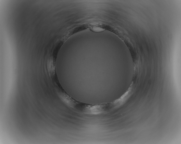 X0000111360186200907101238