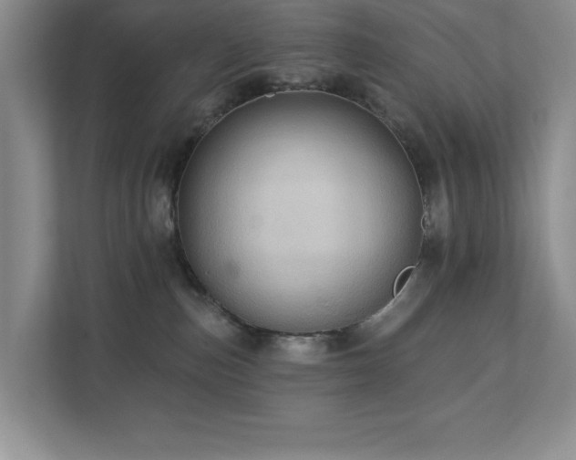 X0000111360187200907101238