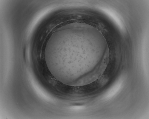 X0000111360189200907101238