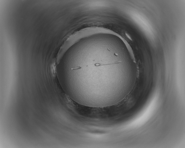 X0000111360190200907101238