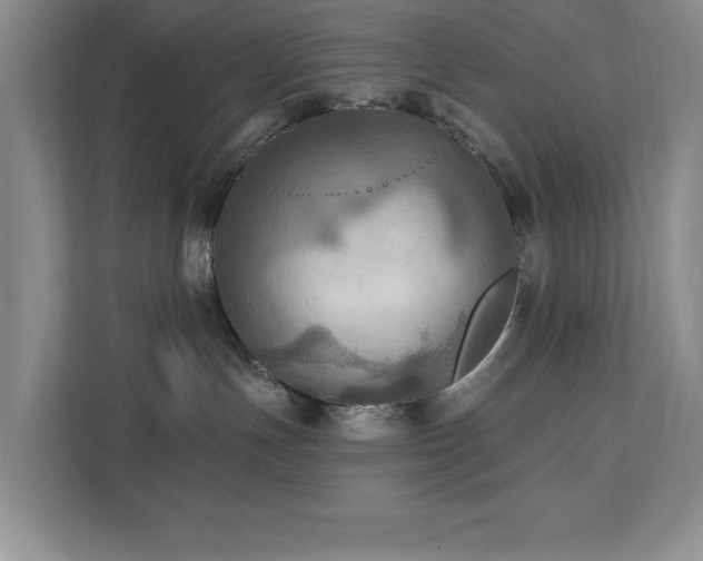 X0000111360191200907101238