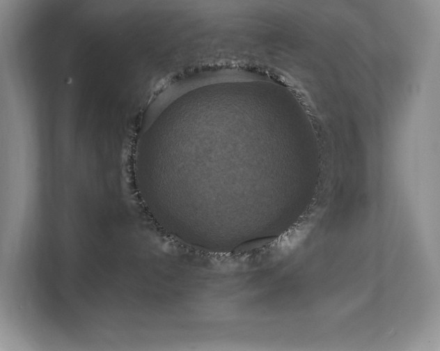 X0000111360192200907101238