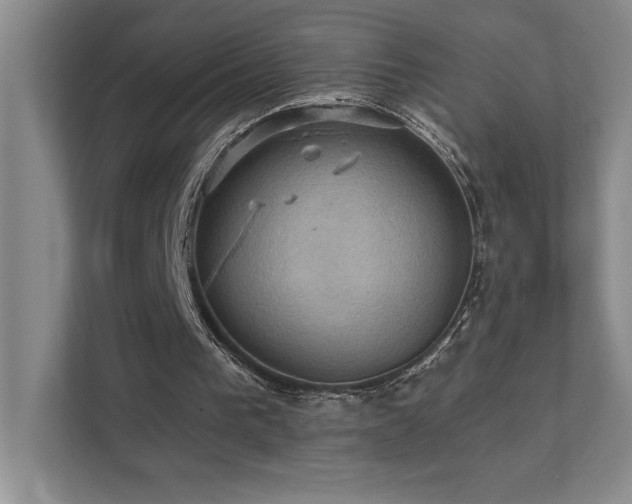 X0000111360193200907101237
