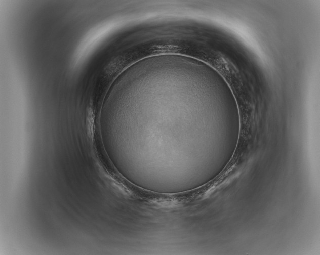 X0000111360194200907101237