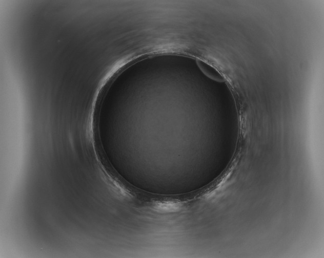 X0000111360196200907101237