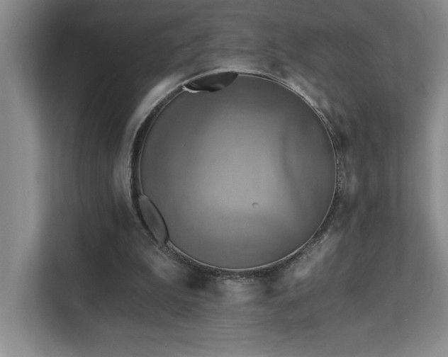 X0000111360199200907101237