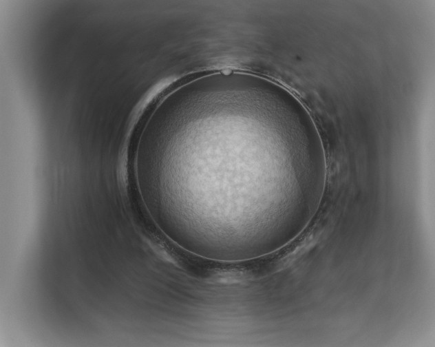 X0000111360200200907101237