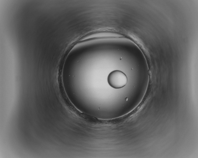 X0000111360201200907101237