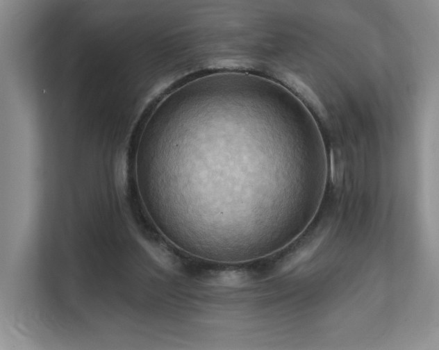 X0000111360204200907101237
