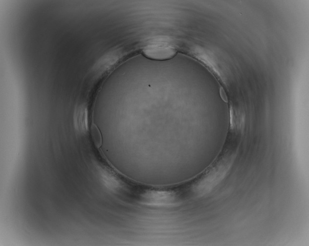 X0000111360205200907101237