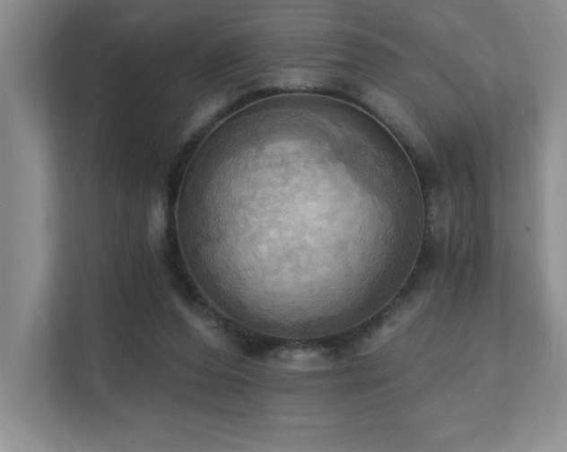 X0000111360208200907101237