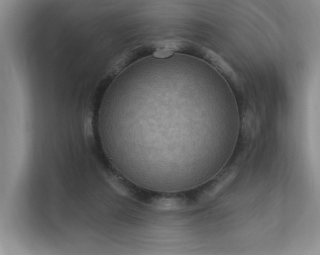 X0000111360209200907101237