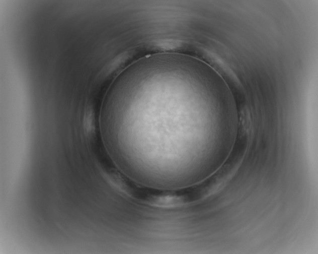 X0000111360212200907101237
