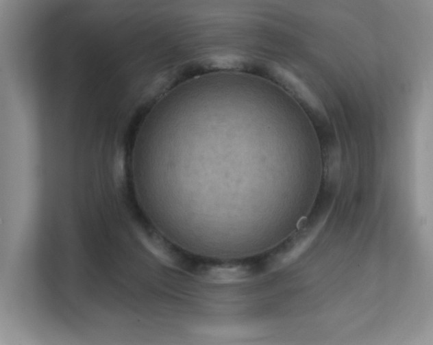 X0000111360213200907101237