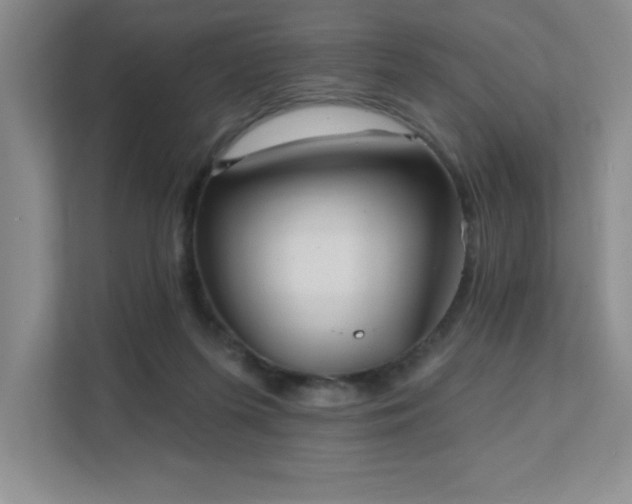 X0000111360215200907101237
