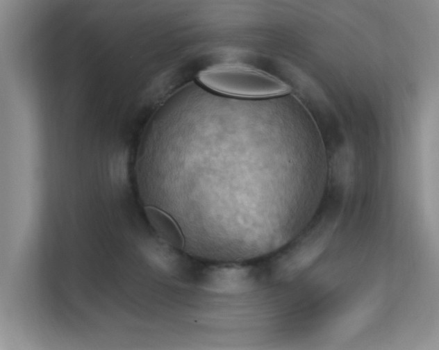 X0000111360217200907101237