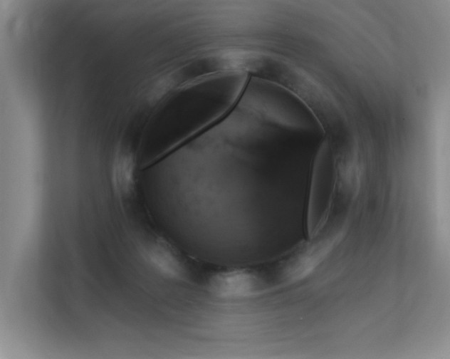 X0000111360219200907101237