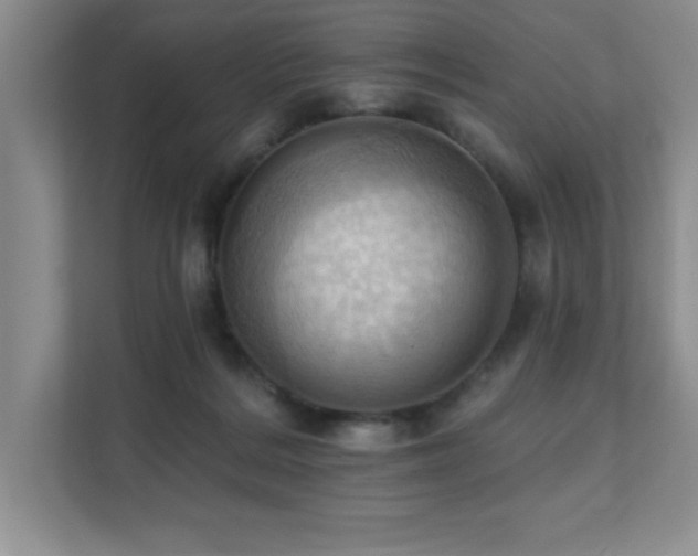 X0000111360220200907101237